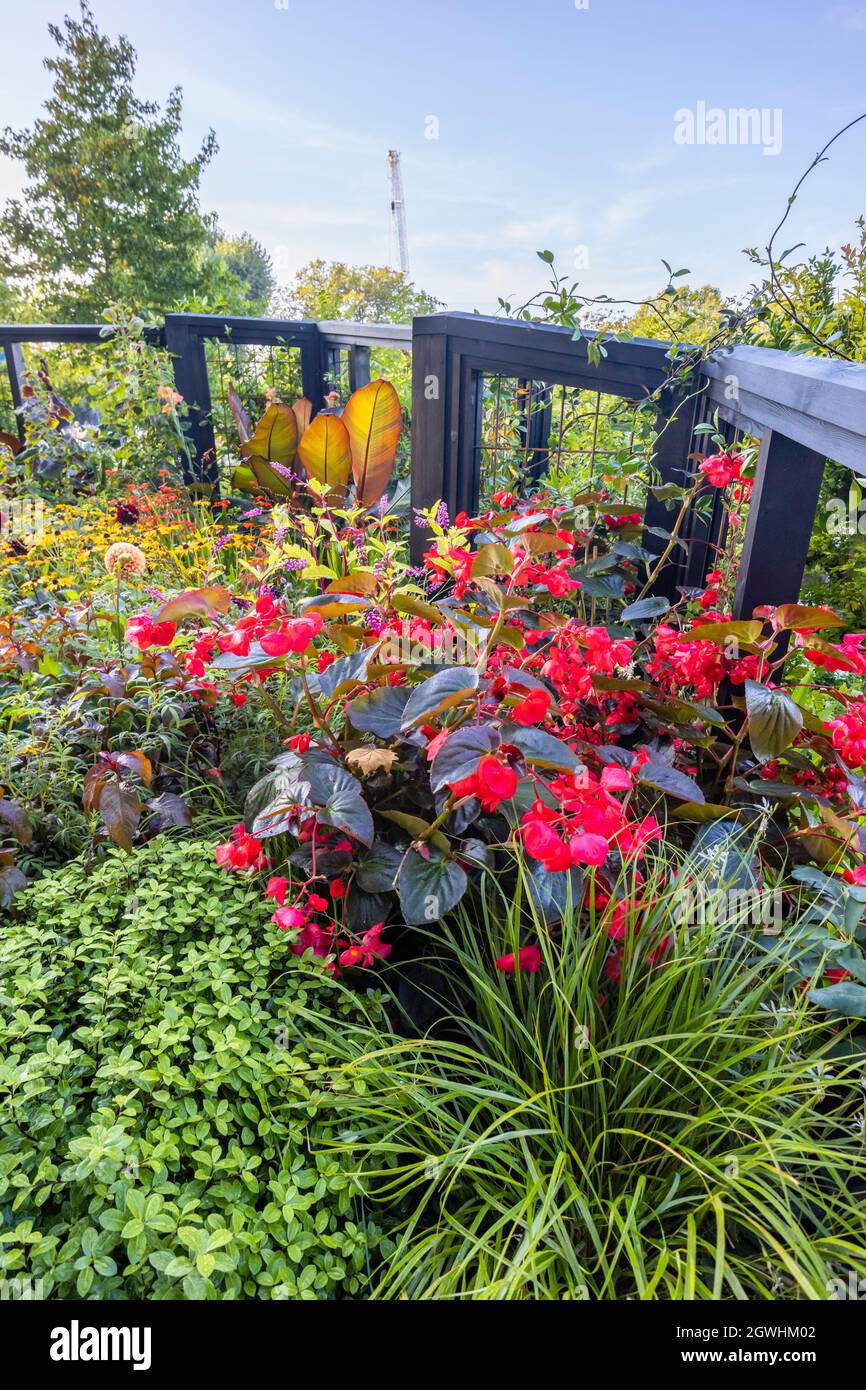 RHS COP26 Garden for protecting biodiversity and Climate change, at RHS Chelsea Flower Show, Royal Hospital Chelsea, London SW3, September 2021 Stockfoto