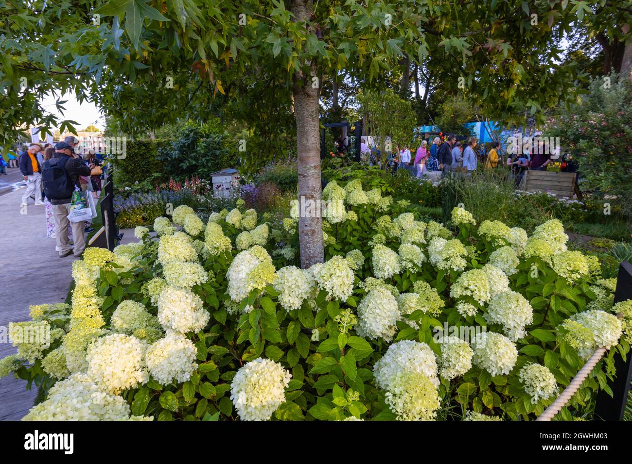 RHS COP26 Garden for protecting biodiversity and Climate change, at RHS Chelsea Flower Show, Royal Hospital Chelsea, London SW3, September 2021 Stockfoto