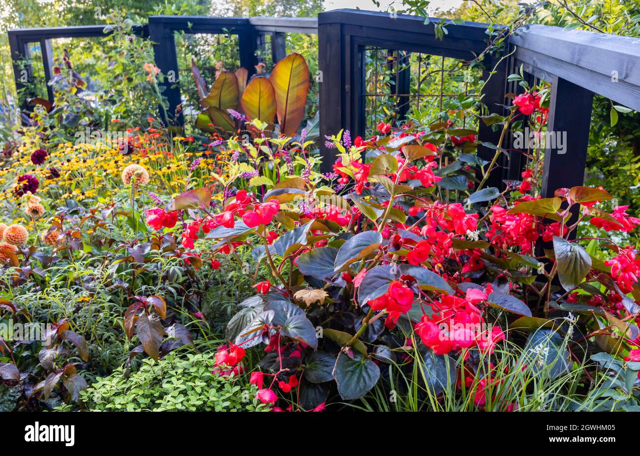 RHS COP26 Garden for protecting biodiversity and Climate change, at RHS Chelsea Flower Show, Royal Hospital Chelsea, London SW3, September 2021 Stockfoto