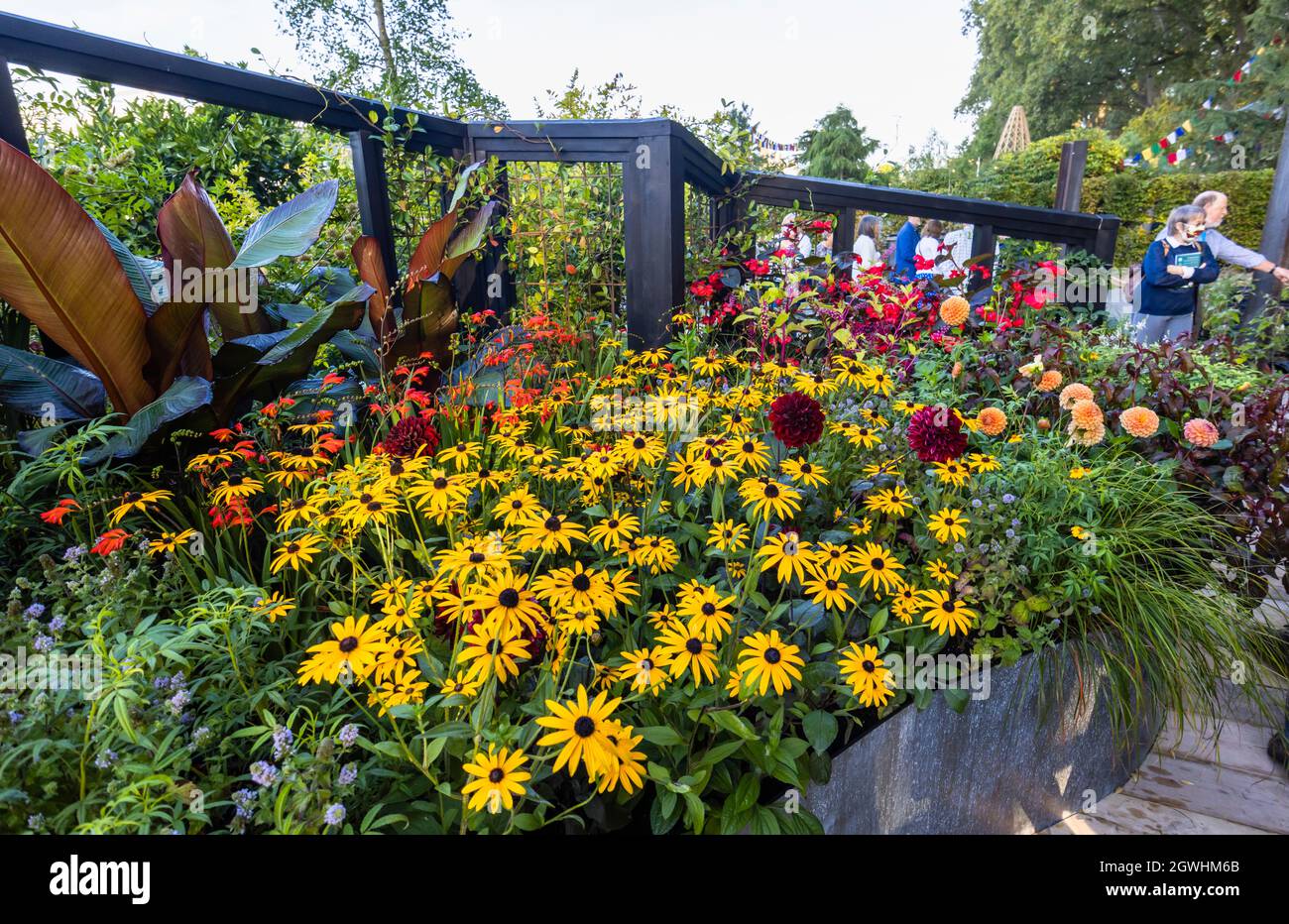 RHS COP26 Garden for protecting biodiversity and Climate change, at RHS Chelsea Flower Show, Royal Hospital Chelsea, London SW3, September 2021 Stockfoto