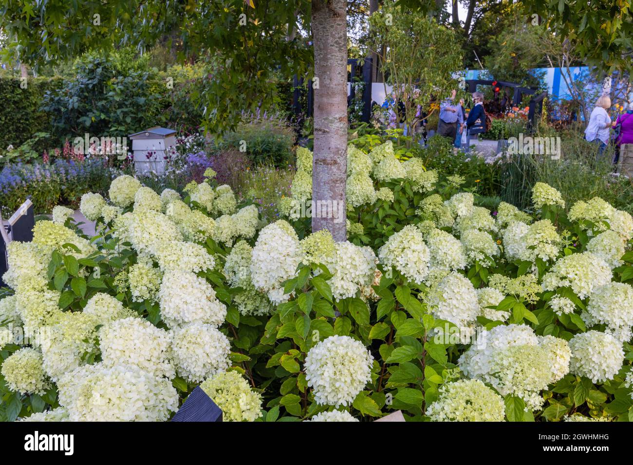 RHS COP26 Garden for protecting biodiversity and Climate change, at RHS Chelsea Flower Show, Royal Hospital Chelsea, London SW3, September 2021 Stockfoto