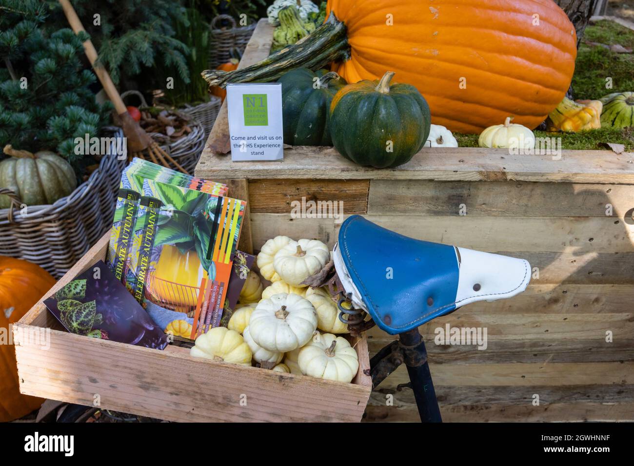 „Celebrate Autumn“ Best Houseplant Studio bei der RHS Chelsea Flower Show, die im September 2021 auf dem Gelände des Royal Hospital Chelsea, London SW3, stattfand Stockfoto