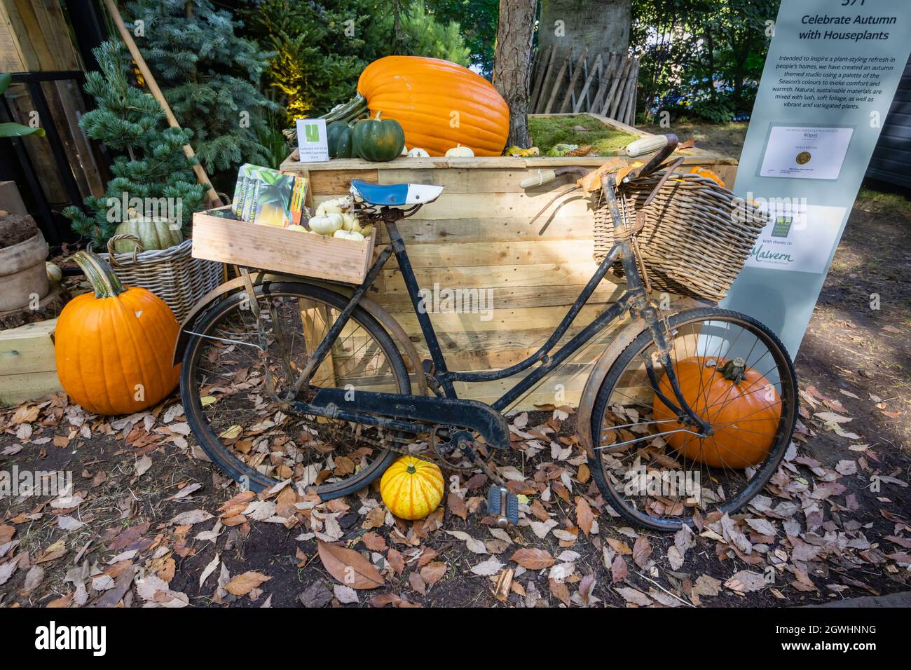 „Celebrate Autumn“ Best Houseplant Studio bei der RHS Chelsea Flower Show, die im September 2021 auf dem Gelände des Royal Hospital Chelsea, London SW3, stattfand Stockfoto