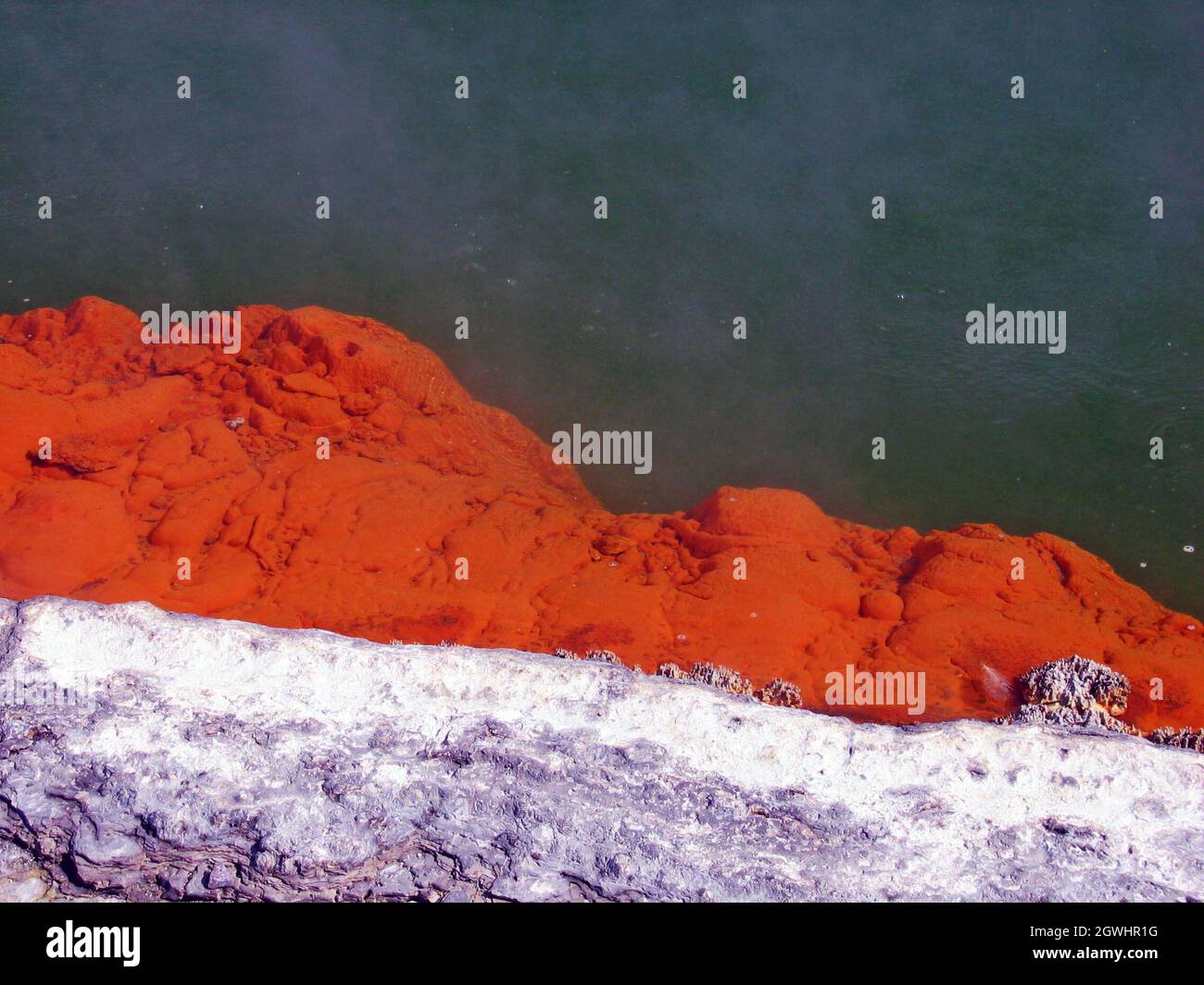 Auf der Nordinsel Neuseelands bilden sich am Rande einer geothermischen heißen Quelle orangene Arsen-Lagerstätten. Stockfoto