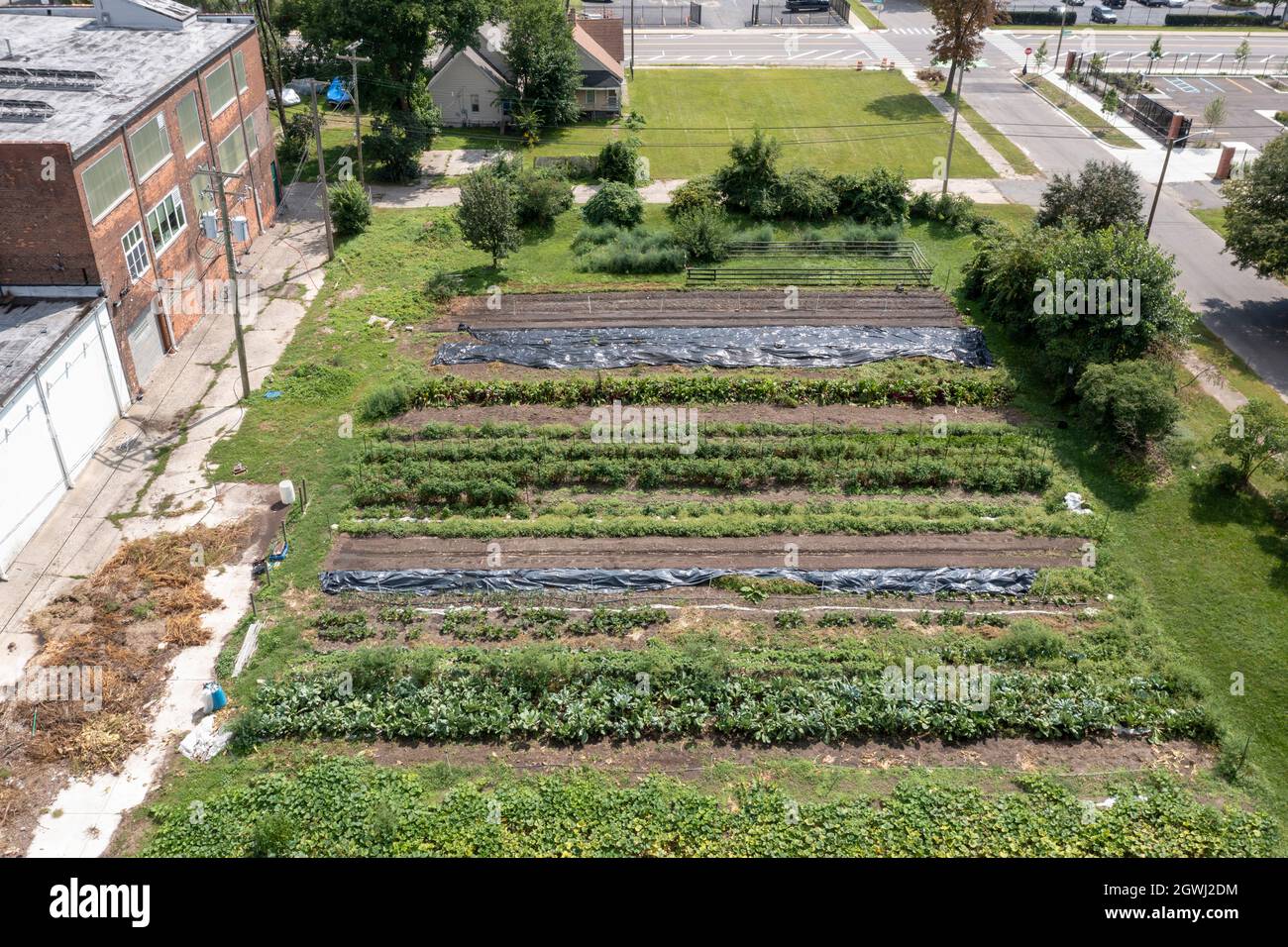 Detroit, Michigan - Ein Garten hinter dem Lager der Gleaners Food Bank. Stockfoto