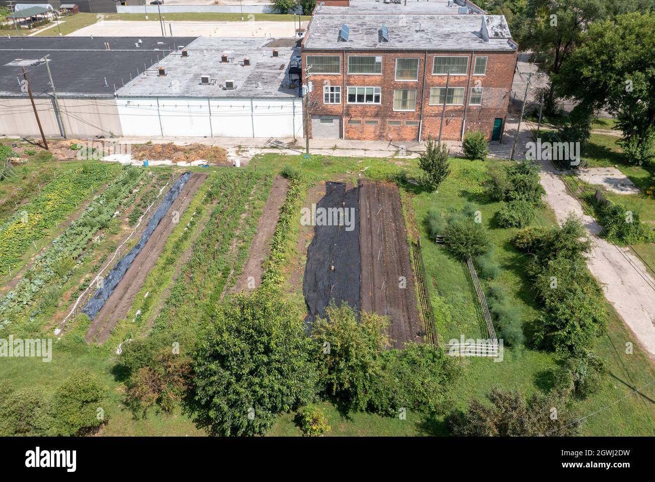 Detroit, Michigan - Eine gemeinnützige Farm in Midtown Detroit, genannt Michigan Urban Farming Iniative. Stockfoto