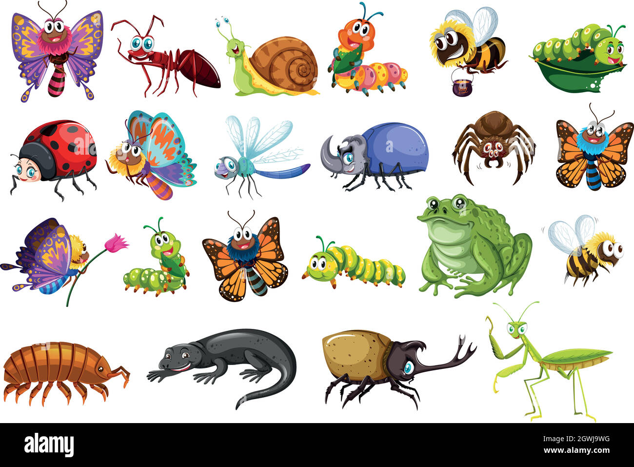 Insektengruppe mit Schmetterlingen, Ameisen, Käfer, Eidechsen, Fröschen und Bienen Stock Vektor