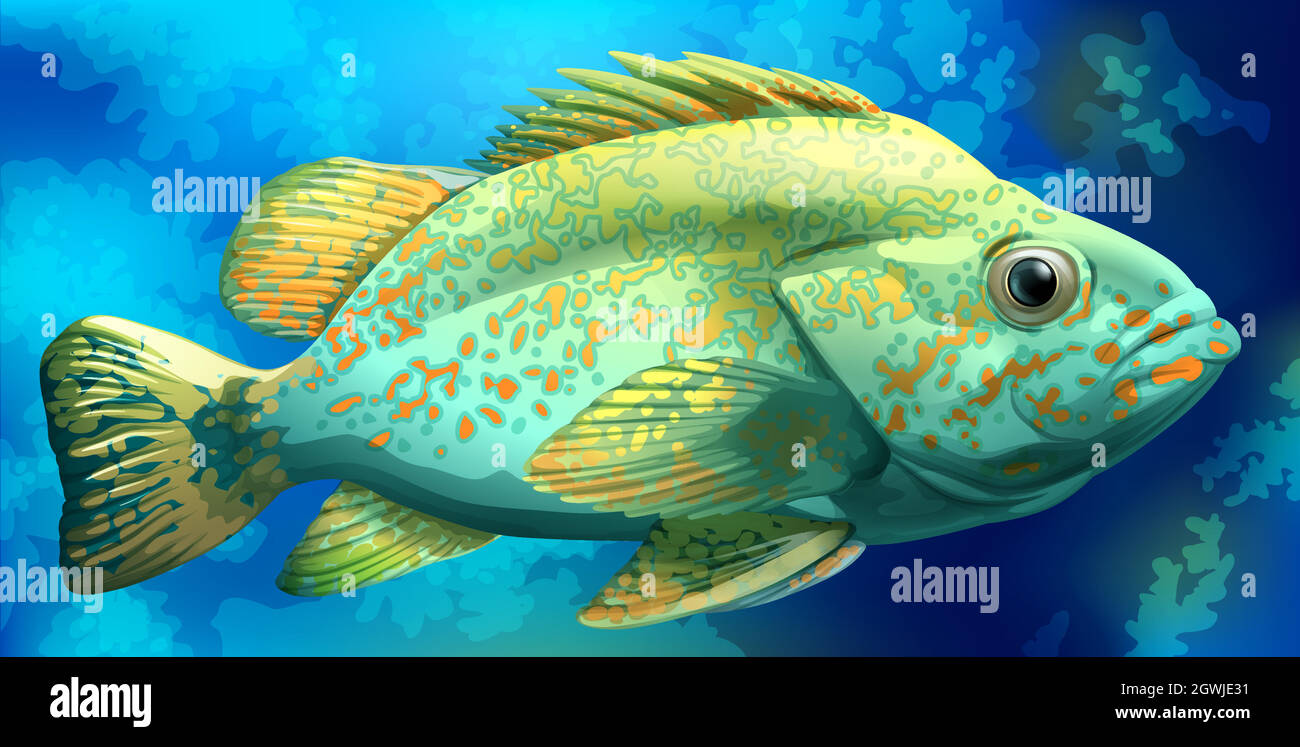 Ein Fisch Stock Vektor