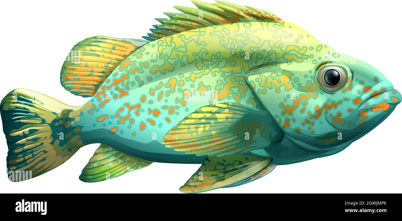 Ein Fisch Stock Vektor