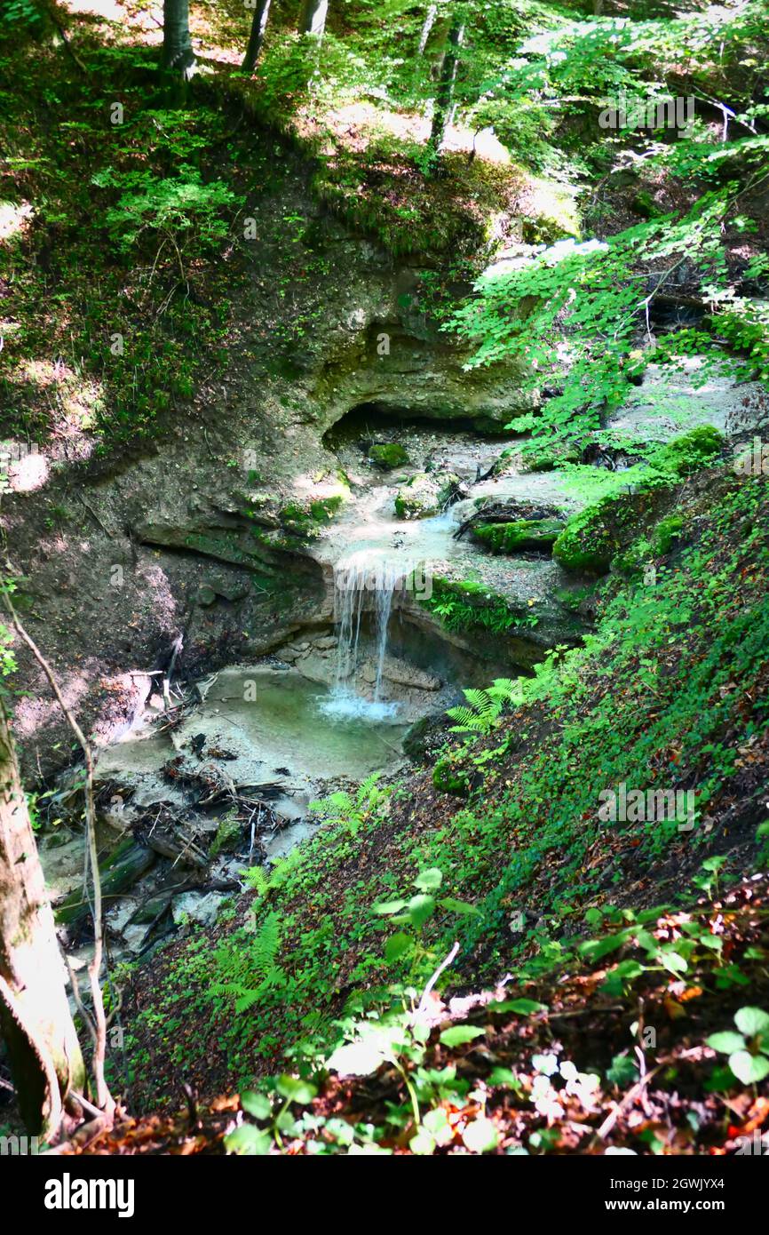 Kleiner Wasserfall, der vom ländlichen Naturwald zum Ammersee, Bayern, Deutschland, hinunterfließt Stockfoto