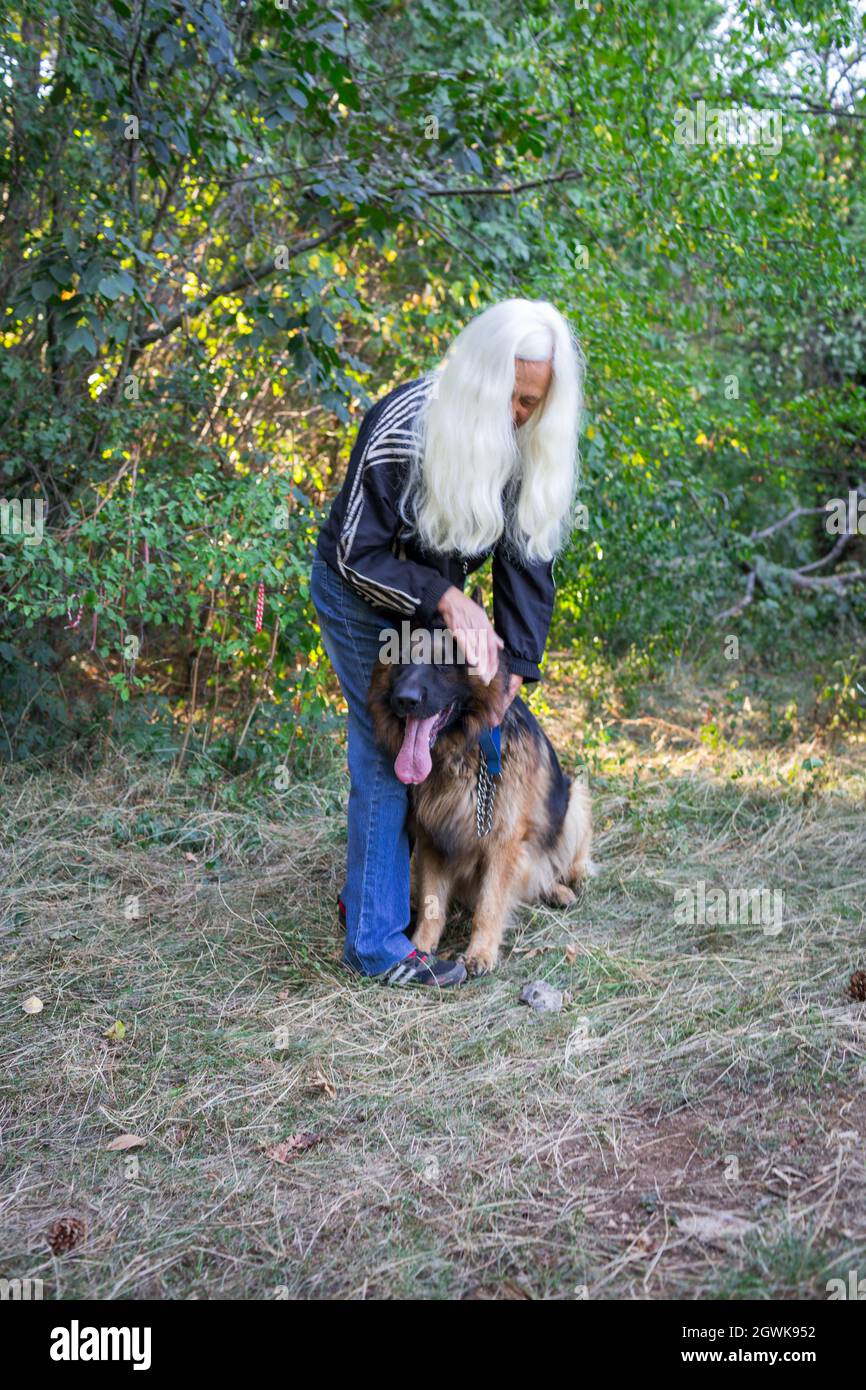 Schäferhund auf einem Spaziergang mit einer Frau im Wald am September Stockfoto