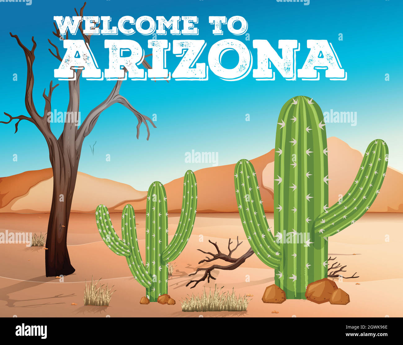 Kakteen Pflanzen im Bundesstaat Arizona Stock Vektor