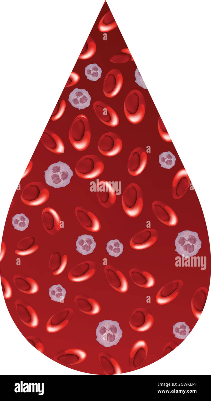 Nahaufnahme der roten Blutkörperchen in einem Tropfen Stock Vektor