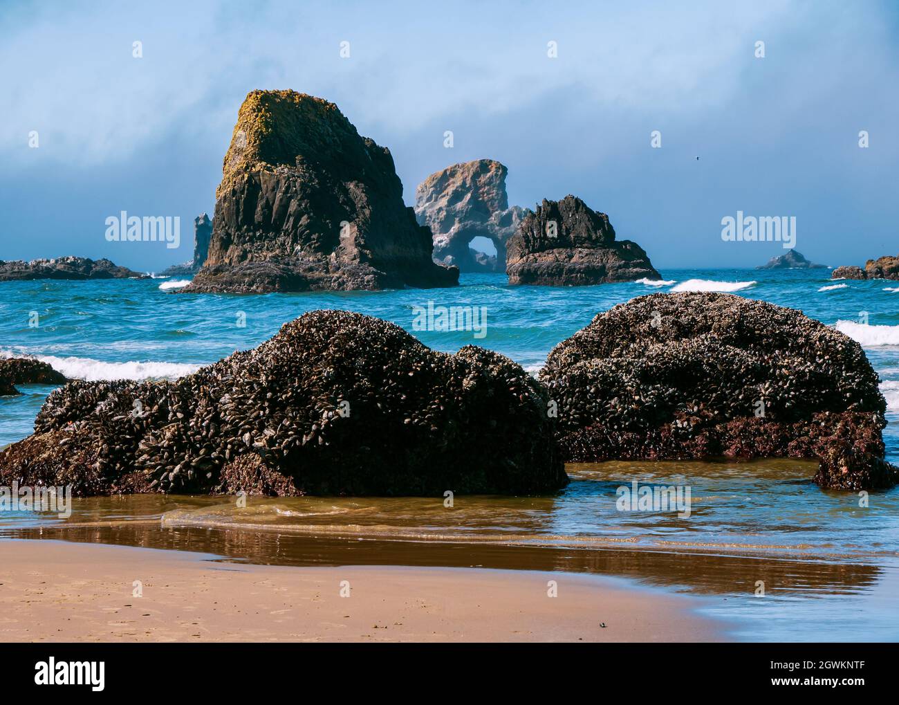 Blick durch das Nadelauge Stockfoto
