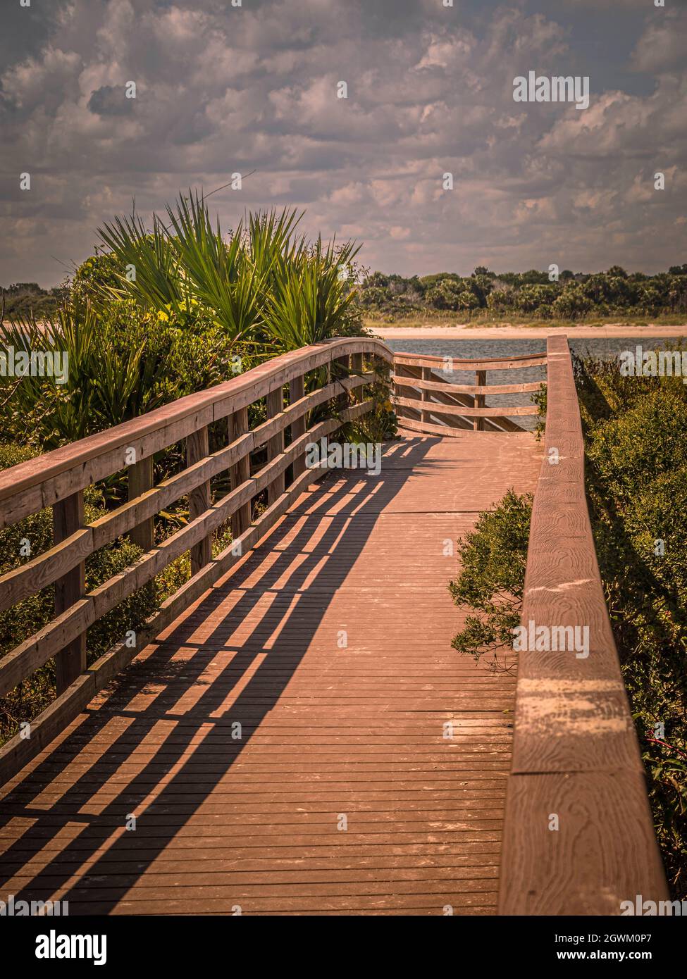 Abendschatten auf einer Holzbrücke, die zu einem Fluss mit einem Florida-Wald am gegenüberliegenden Ufer führt und die tropische Vegetation umgibt. Stockfoto