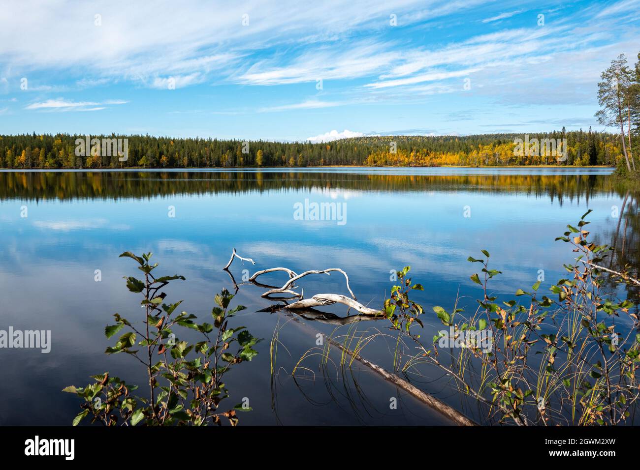 Aus dem ruhigen und ruhigen See Keski-Peurajärvi in Finnisch-Lappland ragen weiße Äste eines unter Wasser stehenden Schlangenbaums hervor Stockfoto