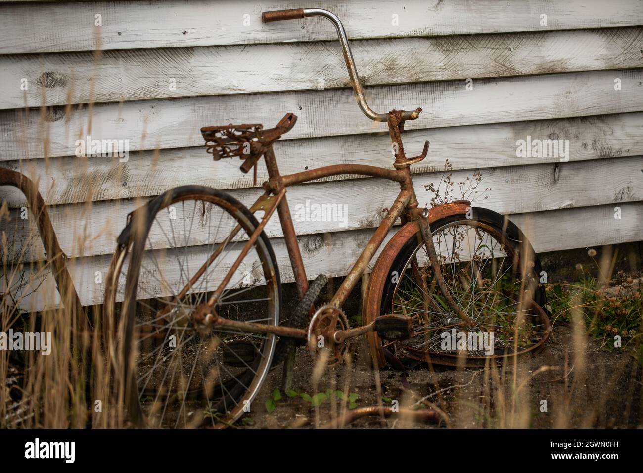 Ich Möchte Mit Meinem Fahrrad Fahren Stockfotos und -bilder Kaufen - Alamy