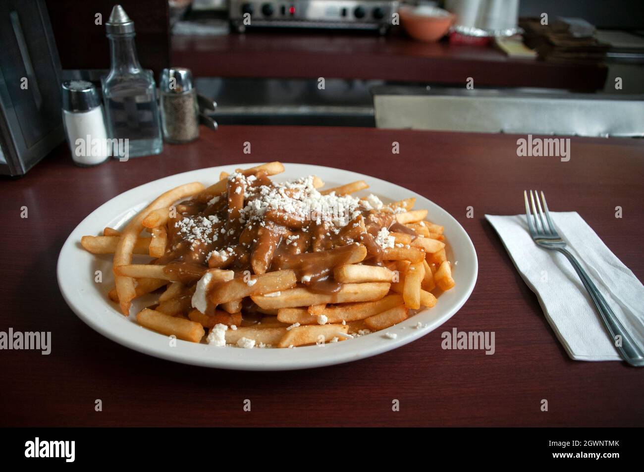 Ein Teller mit griechischem Poutine mit Feta-Käse, eine Art kultiges kanadisches Gericht, das in einem traditionellen Restaurant in Toronto, Kanada, serviert wird. Stockfoto