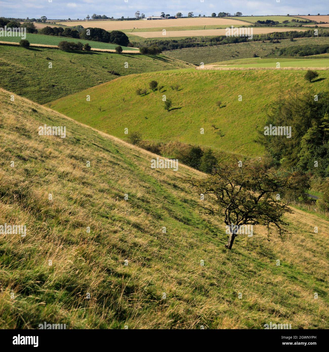 Trockenes Tal mit steilen Hängen in der Landschaft in der Nähe von Huggate East Yorkshire UK Stockfoto