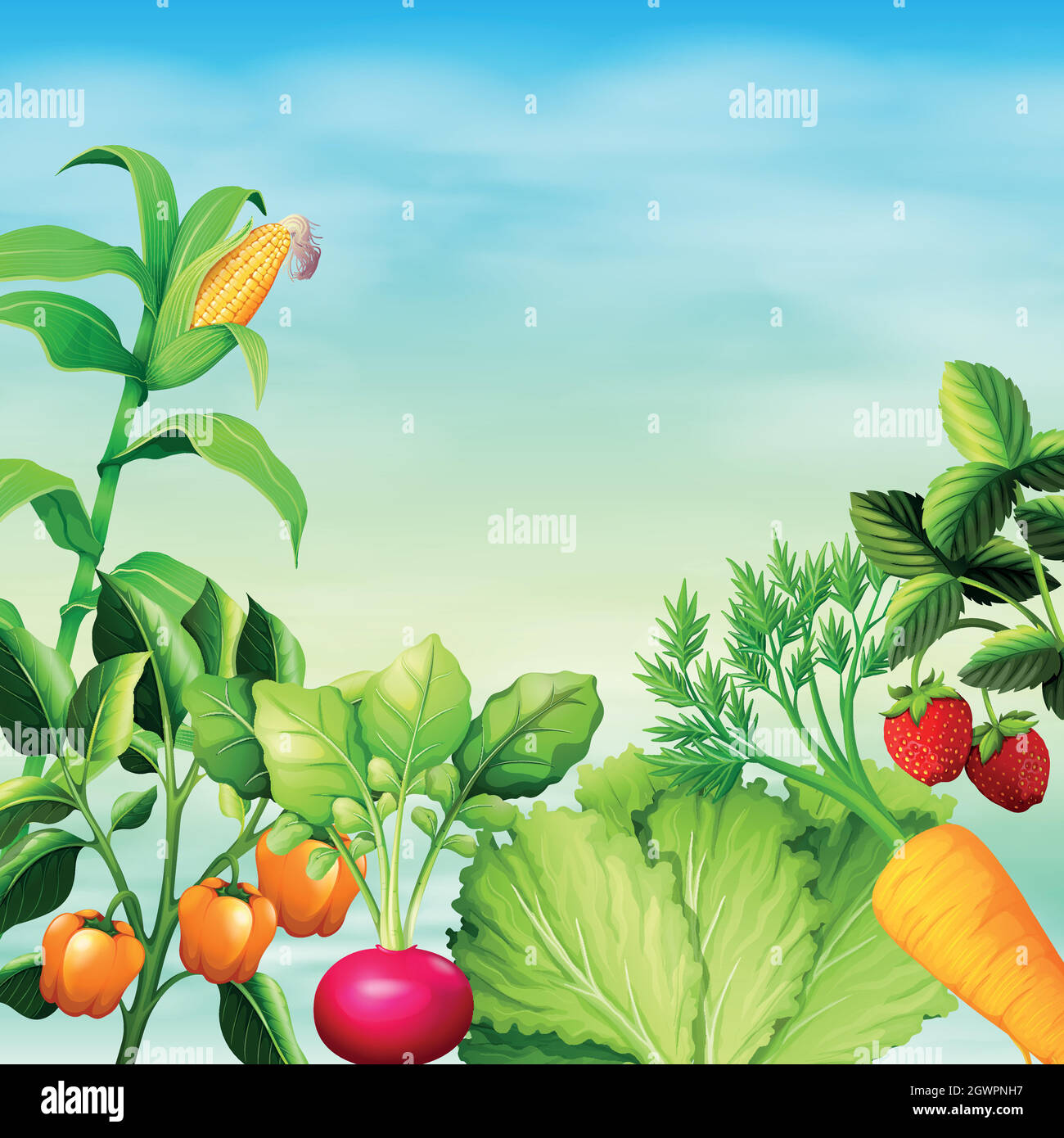 Viele Arten von Gemüse Stock Vektor
