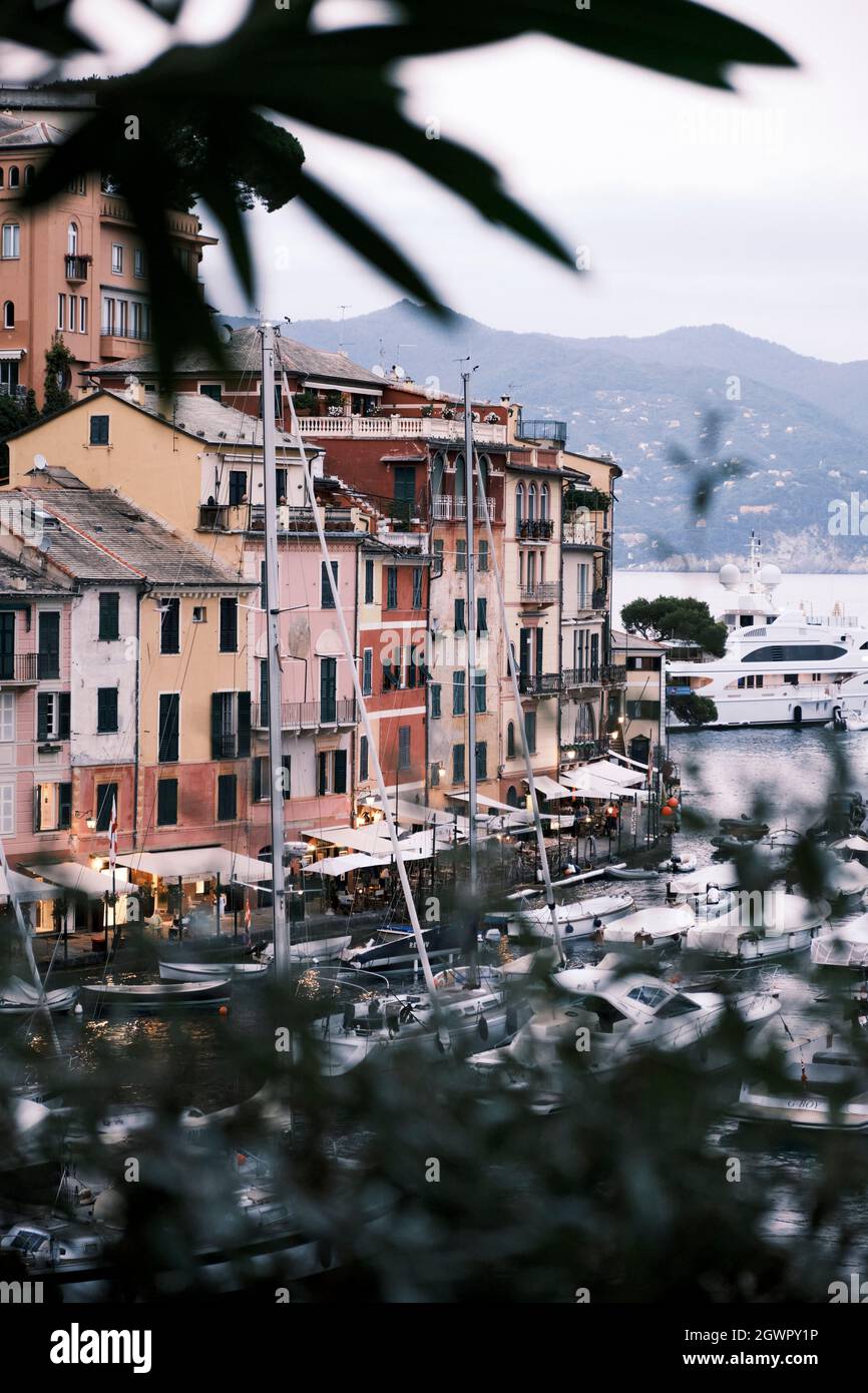 Blick auf den Hafen von Portofino, mit seinen Booten und pastellfarbenen Häusern vom Berg zwischen den Bäumen und Blättern Stockfoto