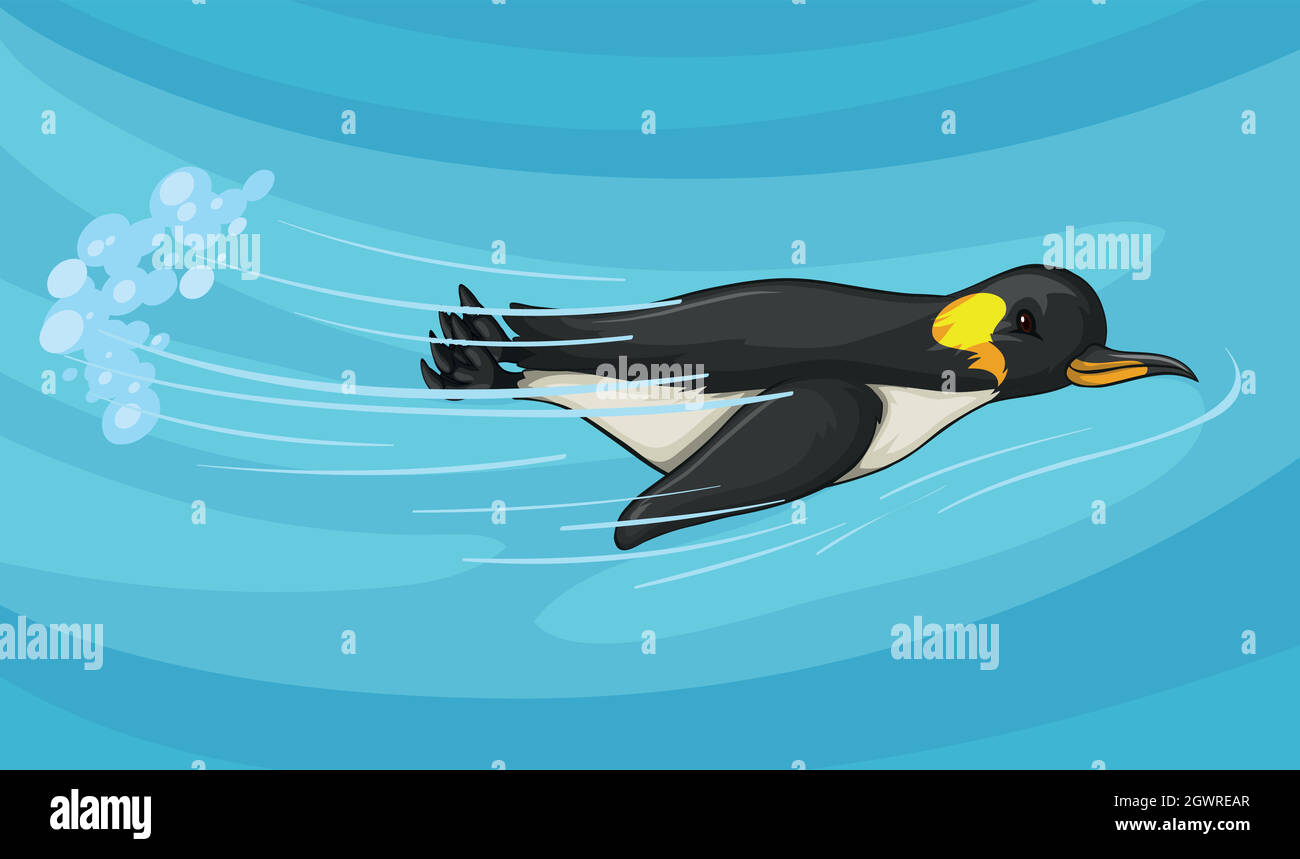 Pinguin schwimmend unter dem Meer Stock Vektor
