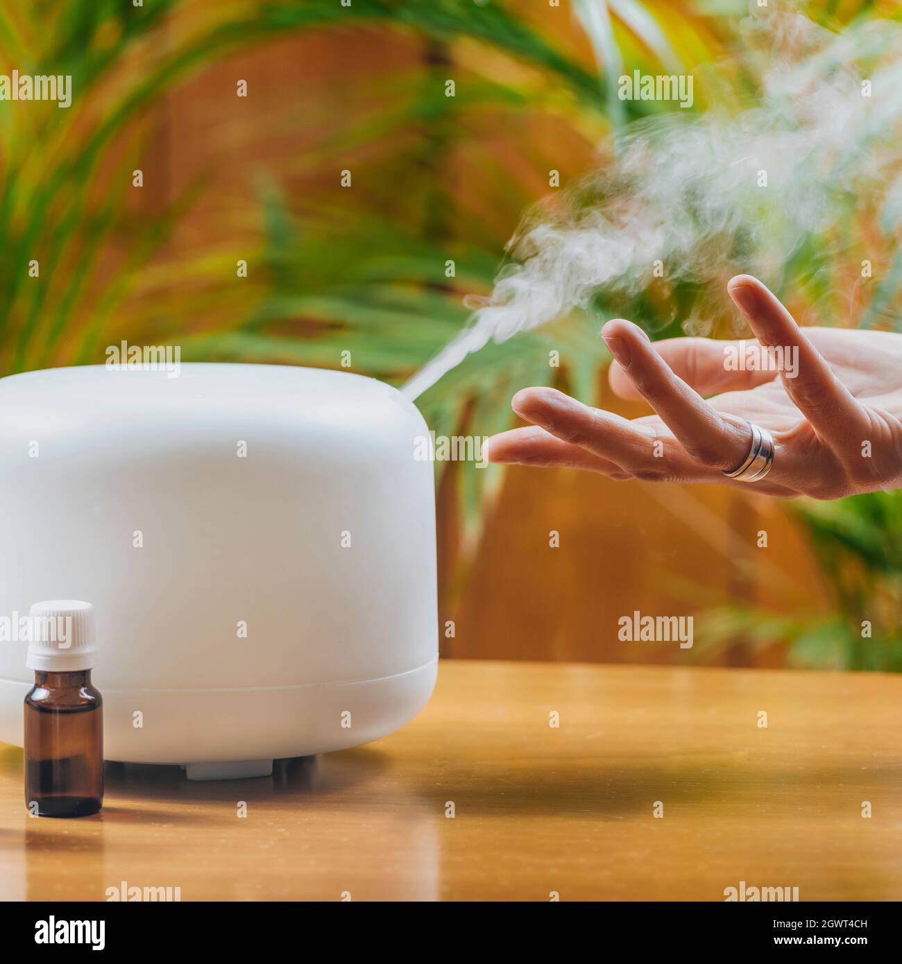 Frau Genießt Aroma Therapie Dampf Duft Von Zu Hause Ätherisches Öl Diffusor  Oder Luftbefeuchter Stockfotografie - Alamy