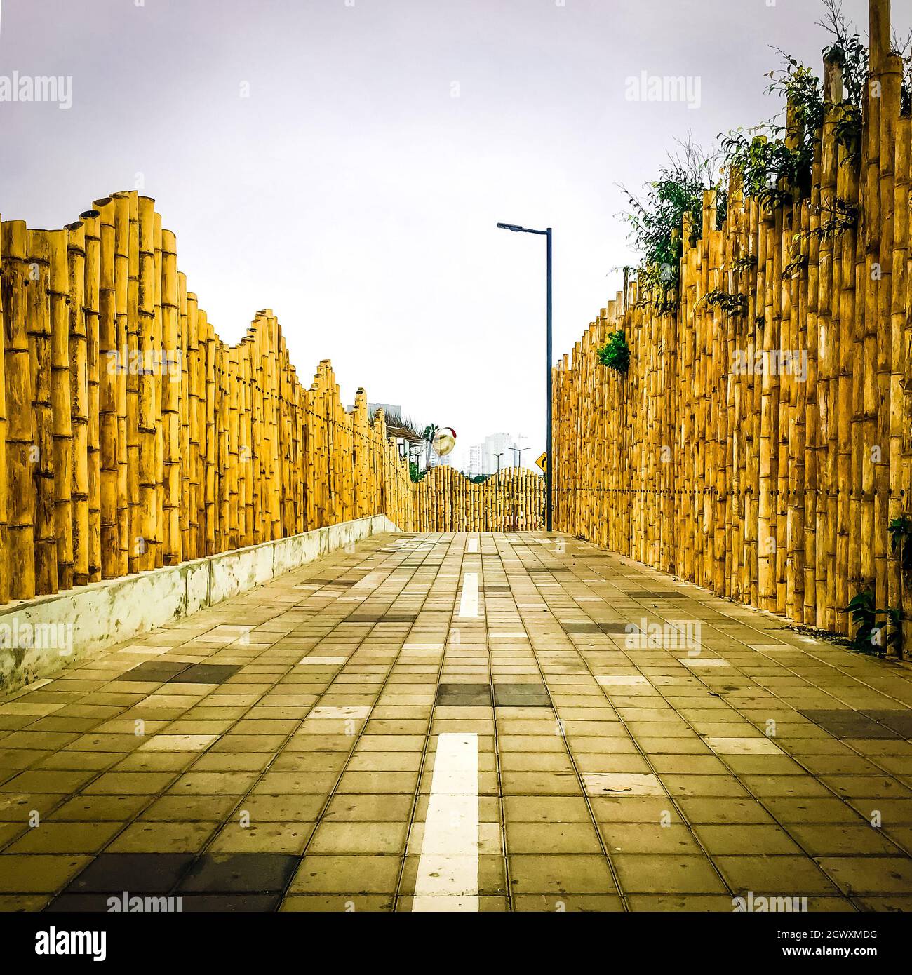 Bamboo road Fotos und Bildmaterial in hoher Auflösung Alamy