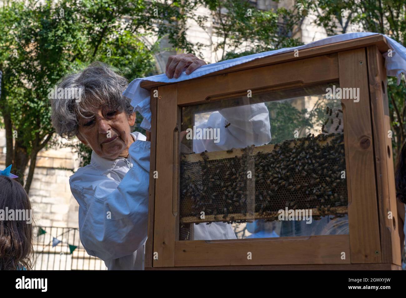 New York, Usa. Oktober 2021. Eine Imkerin kümmert sich während der Segnung der Tiere in der Kathedrale von St. John the Divine in New York City um ihre Bienen. Zu Ehren des heiligen Franz von Assisi, des schutzpatrons der Tiere und der Umwelt, feiern die Christen mit dem Segen der Tiere und dem Gebet. Kredit: SOPA Images Limited/Alamy Live Nachrichten Stockfoto