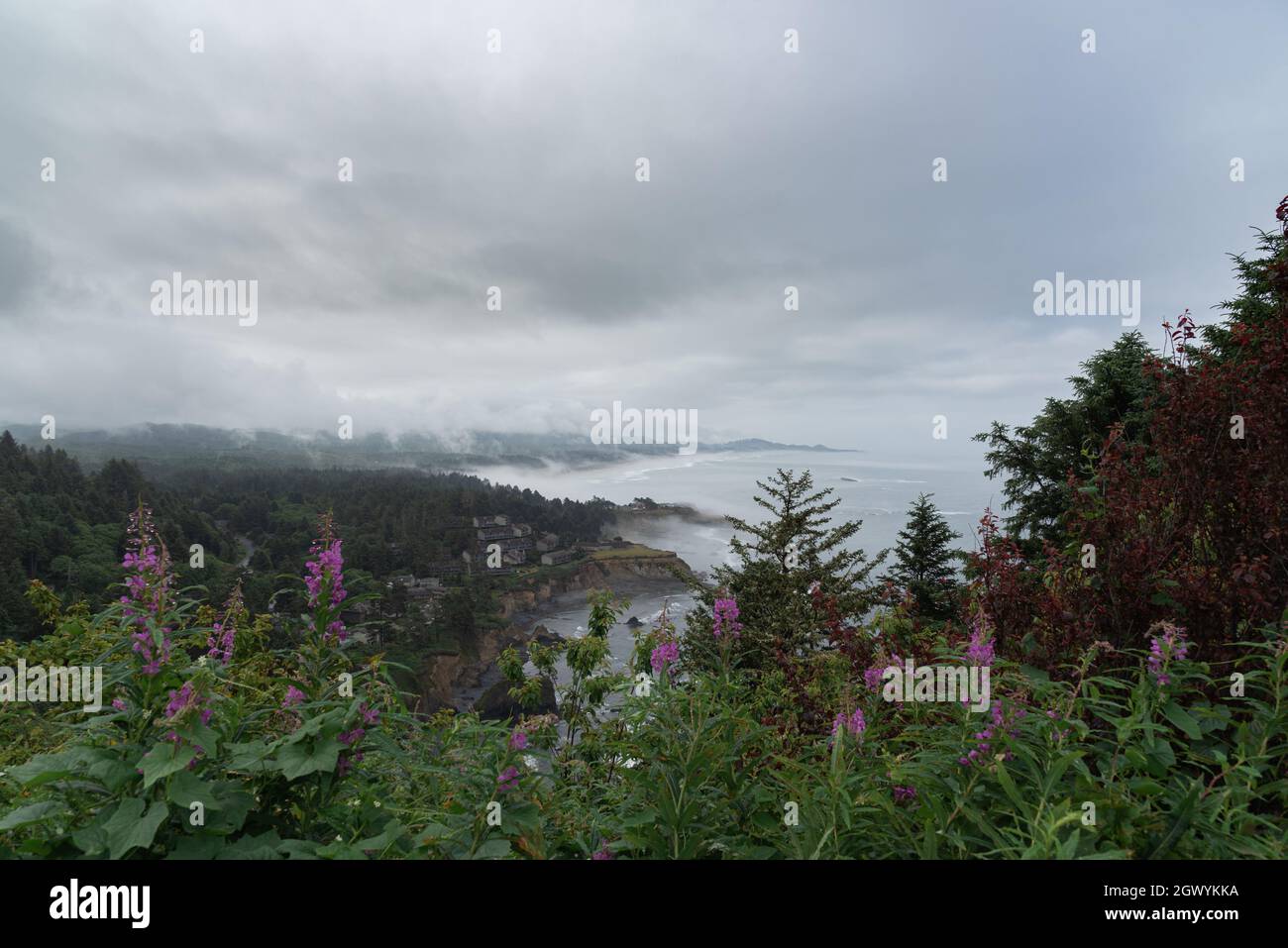 Wilde Blumen und majestätische Ausblicke auf die Küste von Oregon an einem nebligen Morgen Stockfoto