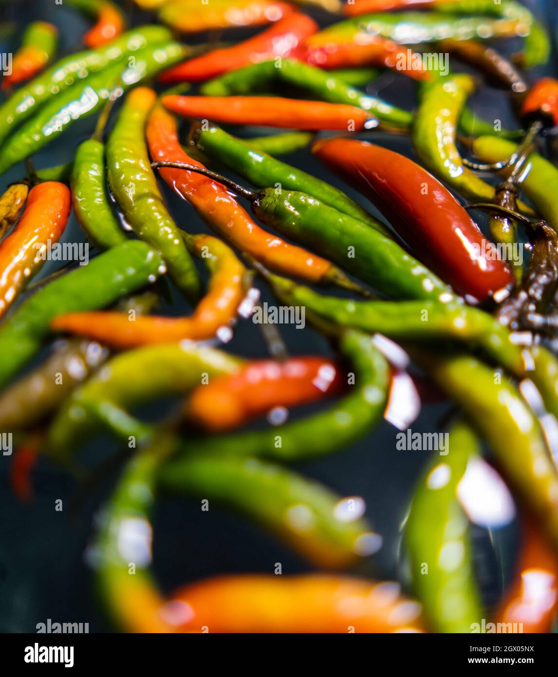 Bunte, dünne und frische Chilischoten, die auf dem Wasser schwimmen Stockfoto