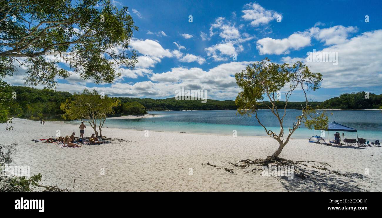Strand am Lake McKenzie, einem Süßwassersee auf Fraser Island, der größten Sandinsel der Welt, Fraser Coast Region, Great Sandy National Park, Wide Bay– Stockfoto