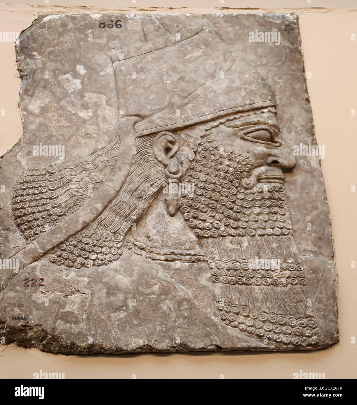 Leiter des assyrischen Königs Ashurnasirpal aus dem Nimrud North-West Palast im British Museum, London, Großbritannien Stockfoto
