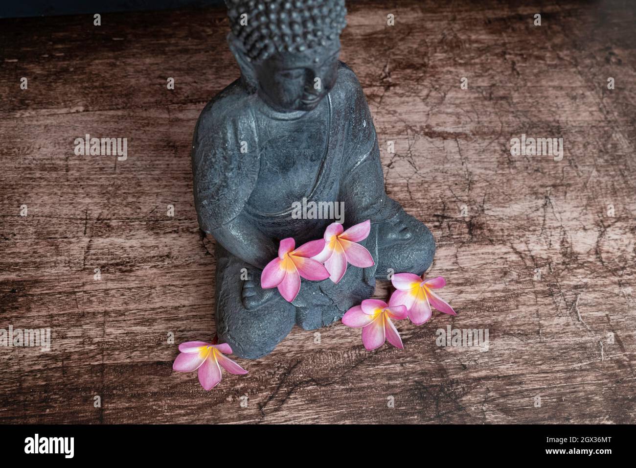 Buddha-Statue mit Frangipani-Blumen auf dunklem Hintergrund Stockfoto