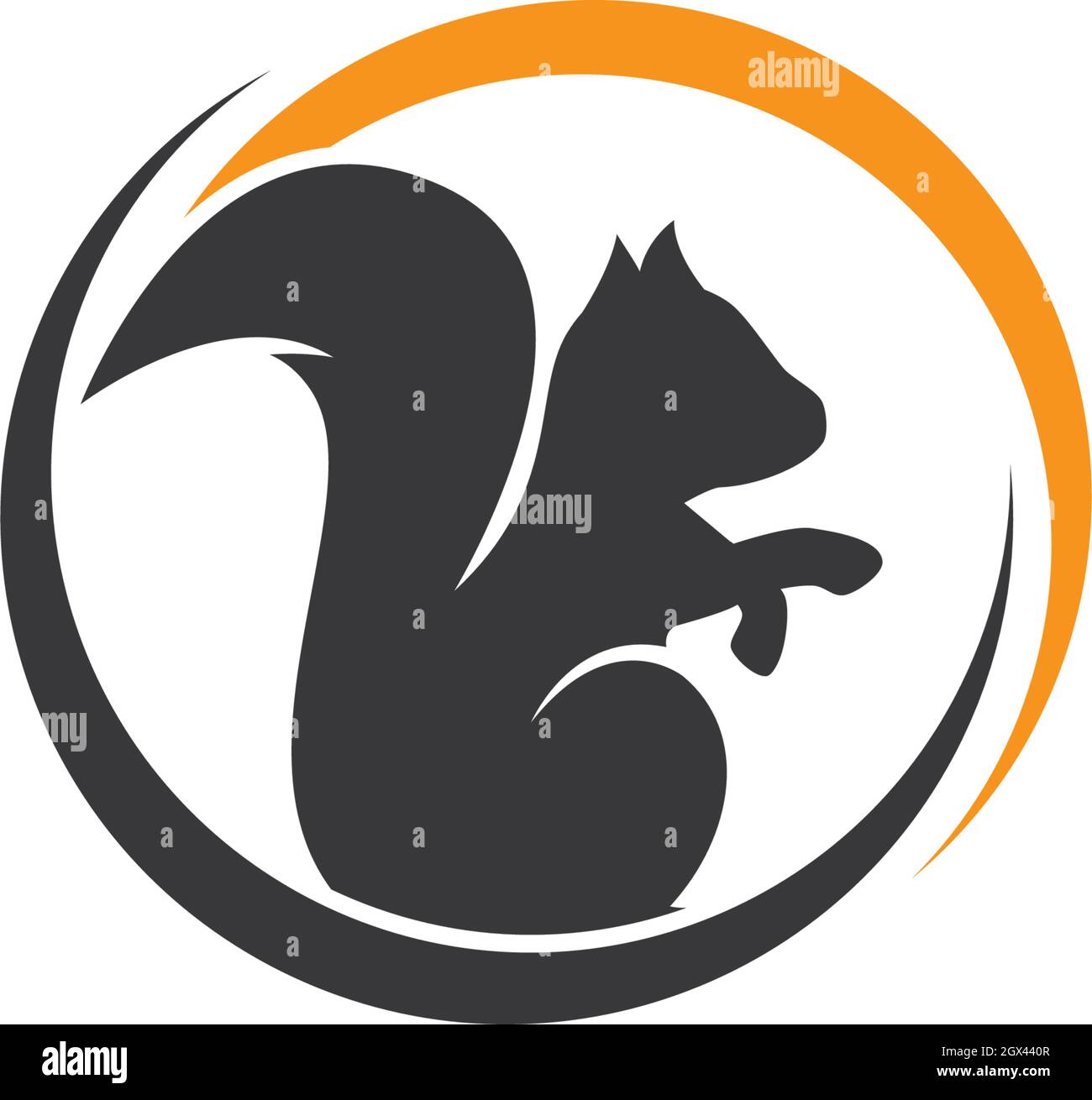 Vektorsymbol für das Eichhörnchen-Logo Stock Vektor