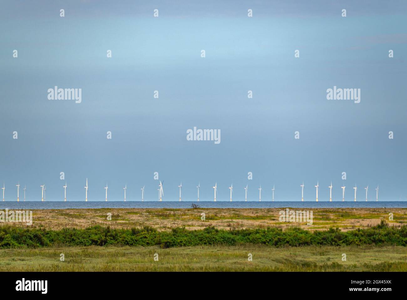 Blick von Blakeney Freshes auf den Windpark Race Bank am Horizont in der Nordsee, Norfolk, England. Stockfoto