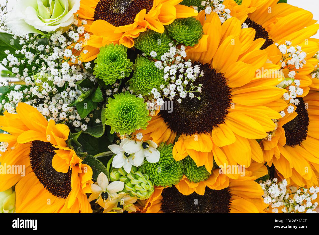 Hochzeitsstrauß der Sonnenblume. Natürlicher floraler Hintergrund. Stockfoto