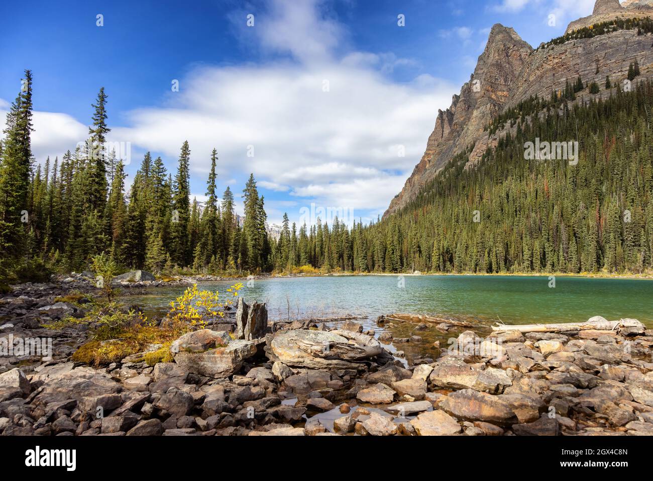 Glacier Lake mit den kanadischen Rocky Mountains im Hintergrund Stockfoto