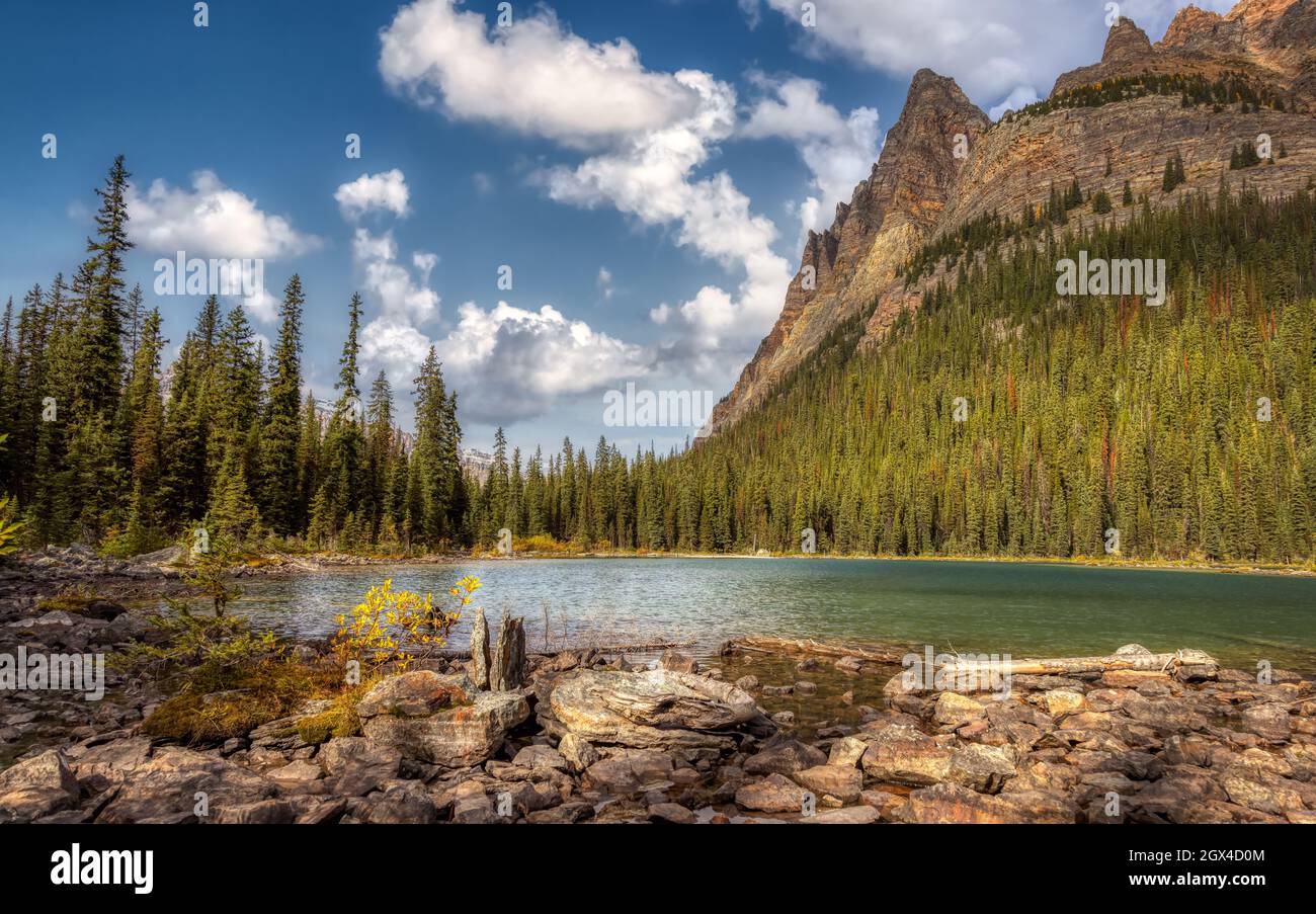 Glacier Lake mit den kanadischen Rocky Mountains im Hintergrund. Stockfoto