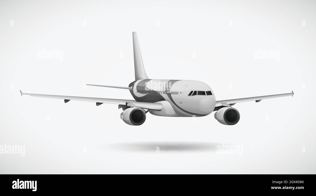 Ein internationales Flugzeug Stock Vektor