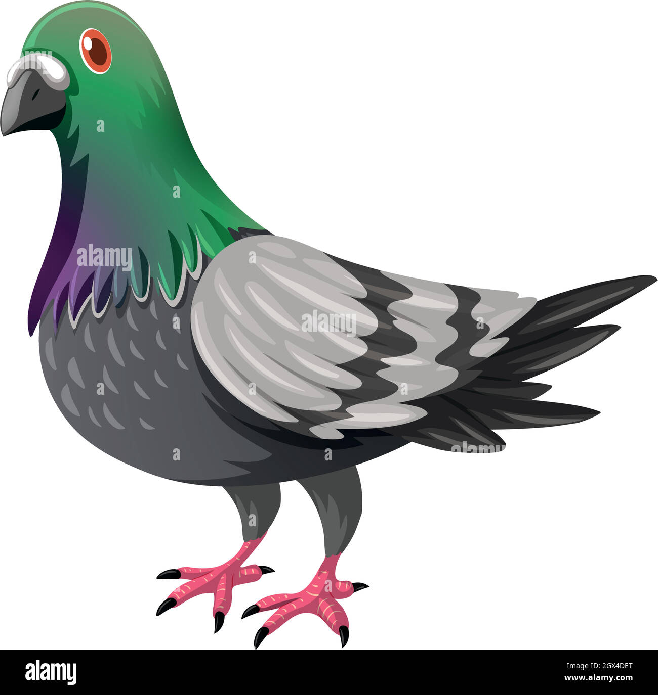Taube mit grüner und grauer Feder Stock Vektor