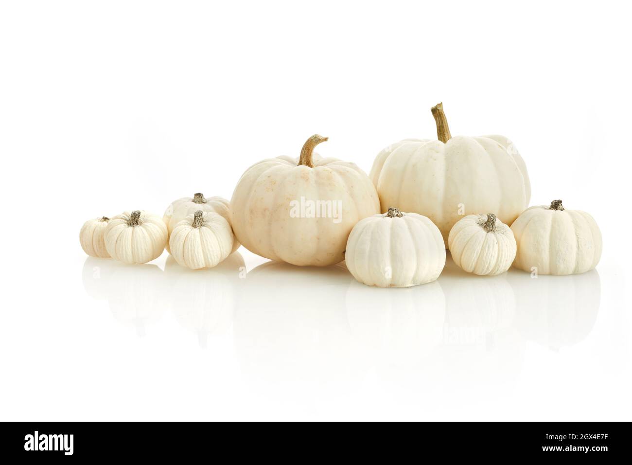 Haufen von vielen Kürbissen isoliert auf weißem Hintergrund, Herbst und Halloween-Konzept Stockfoto