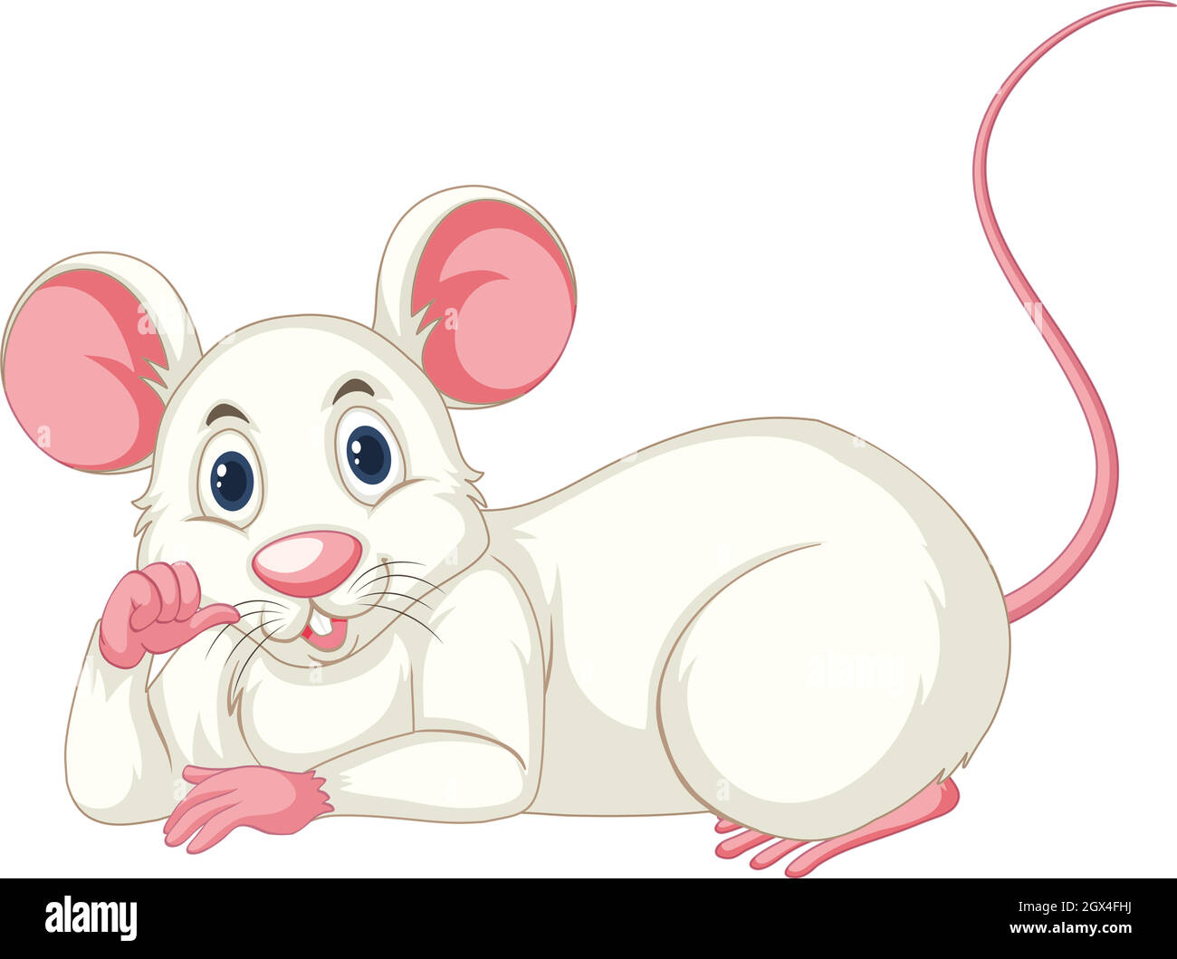 Weiße Ratte auf weißem Hintergrund Stock Vektor
