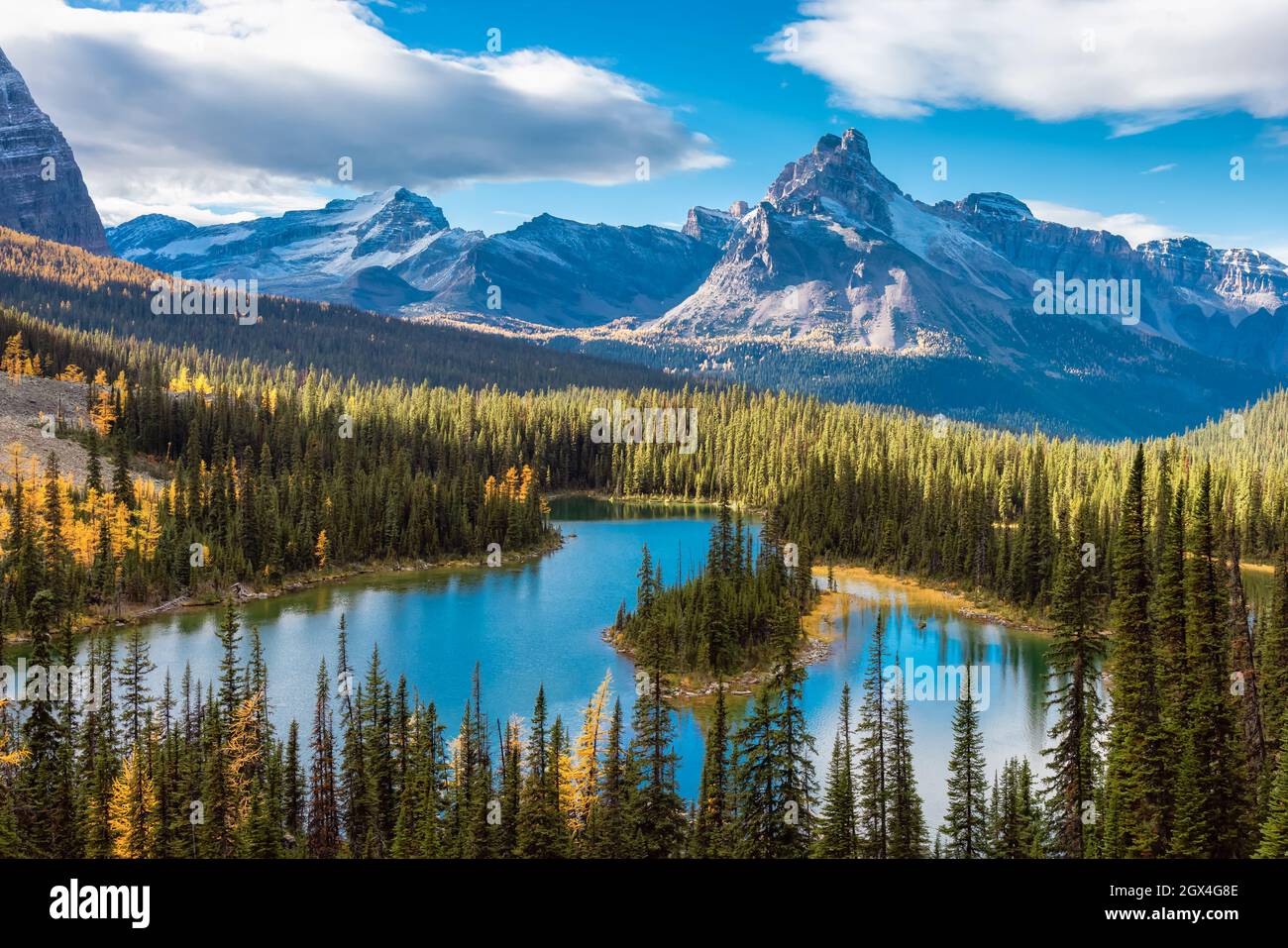 Landschaftlich schöner Blick auf den Glacier Lake mit den kanadischen Rocky Mountains Stockfoto