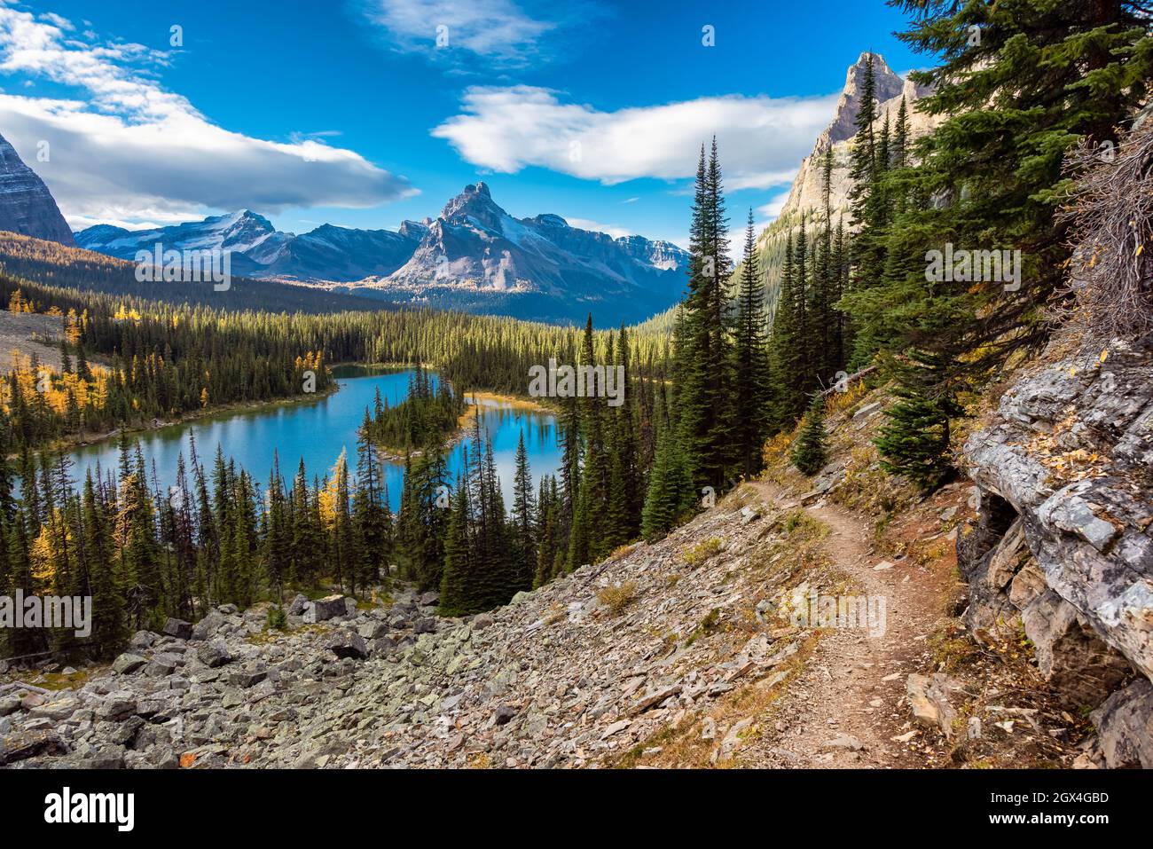 Landschaftlich schöner Blick auf den Glacier Lake mit den kanadischen Rocky Mountains Stockfoto