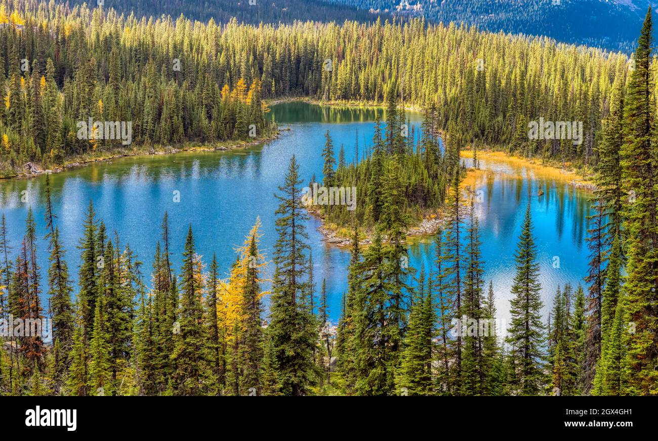 Landschaftlich schöner Blick auf den Glacier Lake in den kanadischen Rocky Mountains Stockfoto