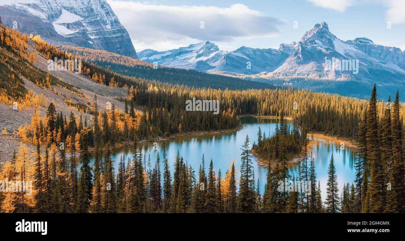 Landschaftlich schöner Blick auf den Glacier Lake in den kanadischen Rocky Mountains Stockfoto