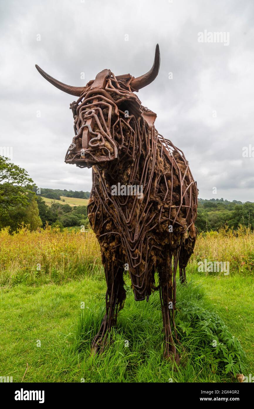 Welsh Black Bull, eine Skulptur von Sally Matthews im National Botanic Garden, Wales. Stockfoto