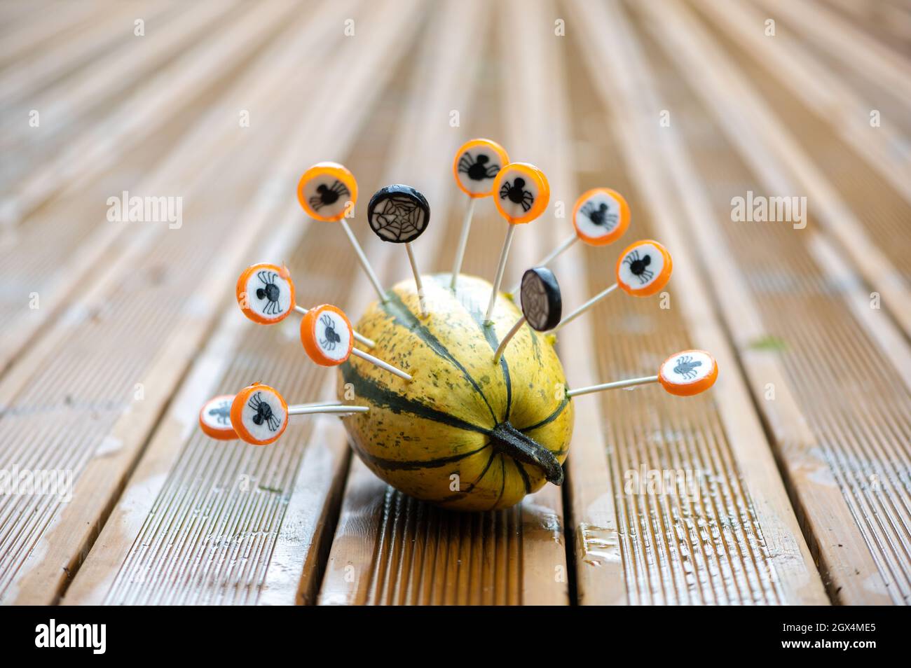 Halloween Deko Hintergrund mit Kürbis und runden Bonbons auf denen schwarze Käfer und Spinnweben Stockfoto