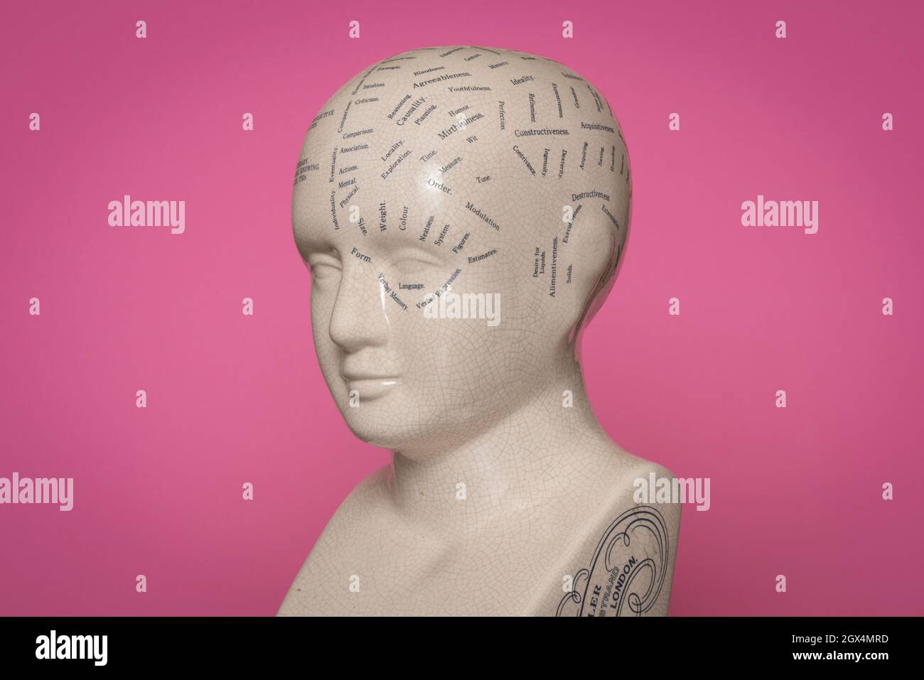 Phroenologie Leiter, Konzept der psychischen Gesundheit. Stockfoto